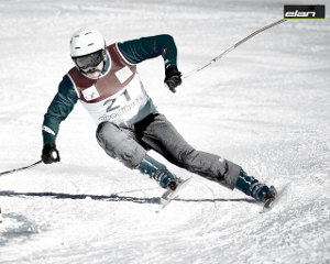2015 Elan Race GSX FIS Amphibio Race Skis w/ Tyrolia Riser Plate **NEW** 